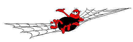 SPIDER.GIF (2643 bytes)